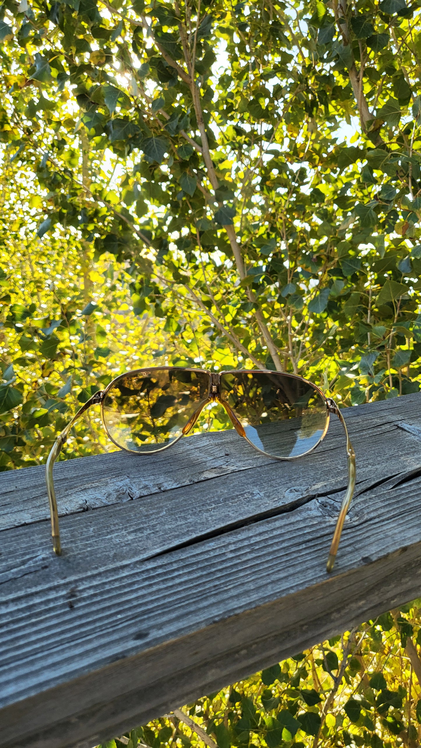 Vintage Carrera Porsche Design 5620 Aviator Sunglasses