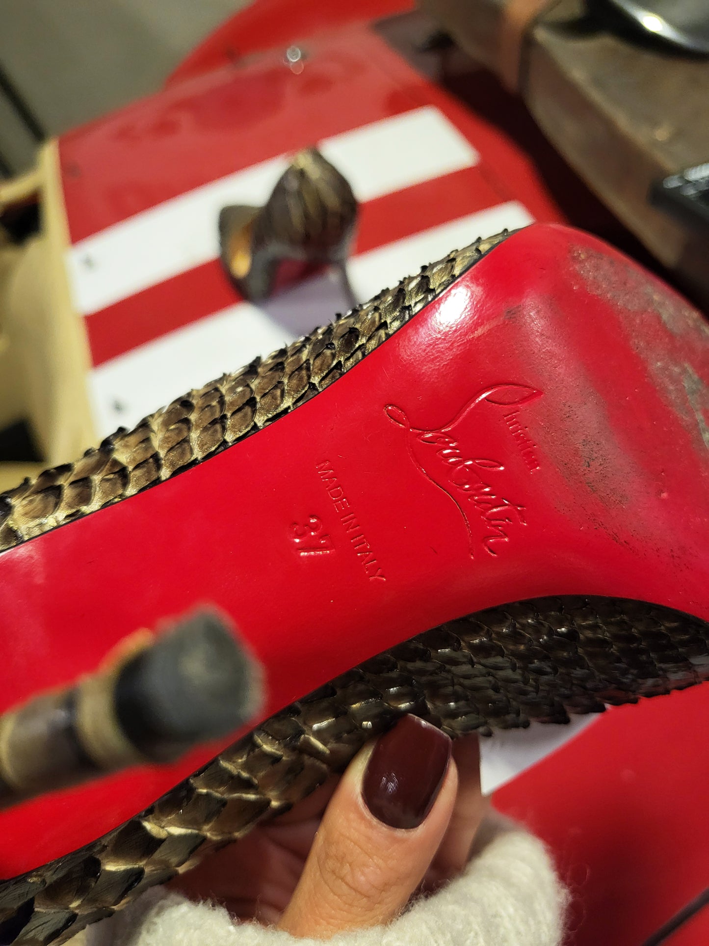 Christian Louboutin Python Leather Pumps (Collector’s Piece)